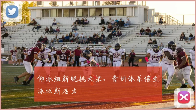 仰泳组新锐挑大梁，青训体系催生泳坛新活力