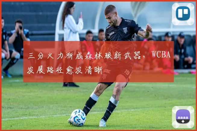 三分火力渐成森林狼新武器，WCBA发展路径愈发清晰