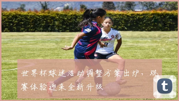 世界杯球迷活动调整方案出炉，观赛体验迎来全新升级