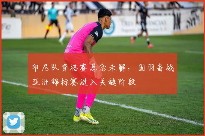 印尼队资格赛悬念未解，国羽备战亚洲锦标赛进入关键阶段